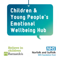 NHS Hub logo reading 'Children and Young People's Emotional Wellbeing Hub'