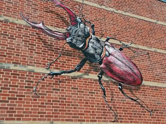 Stag beetle painted onto the side of the outside wall of The Hold in Ipswich, Suffolk.