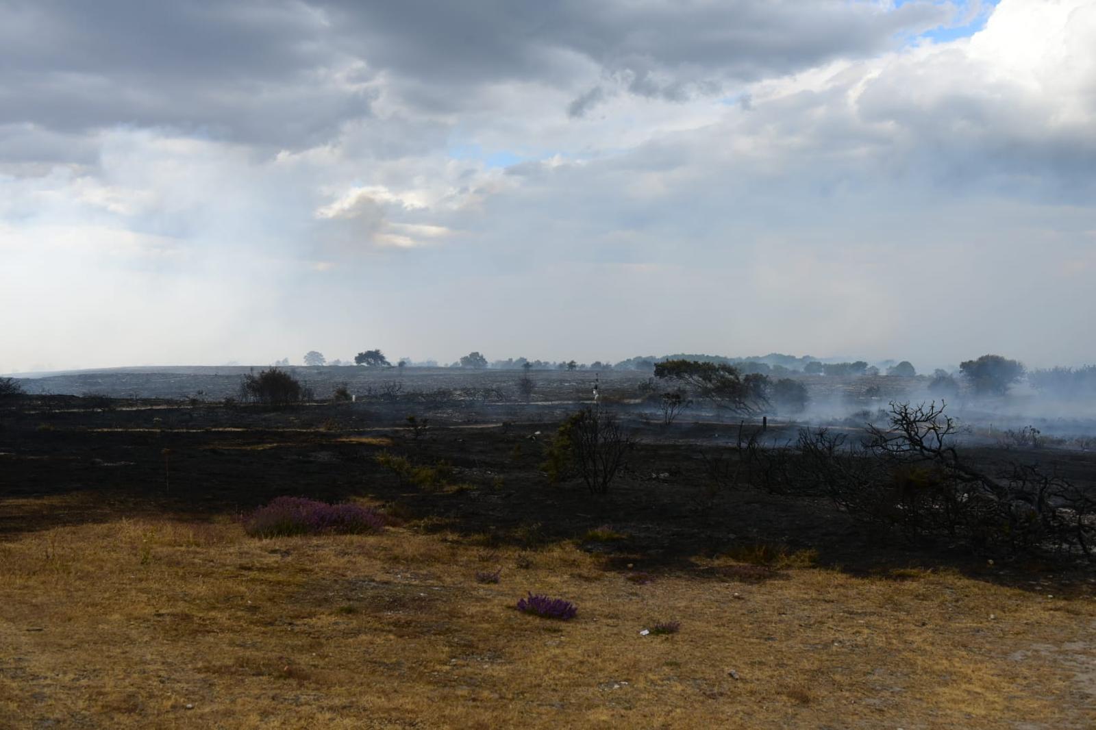 a view of burnt out heathland