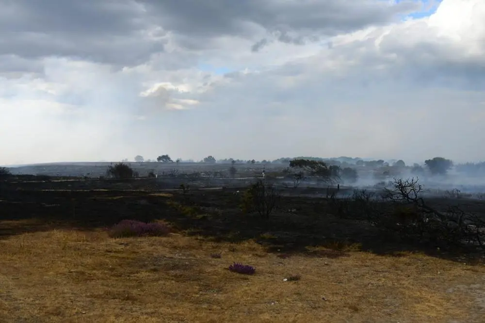 a view of burnt out heathland