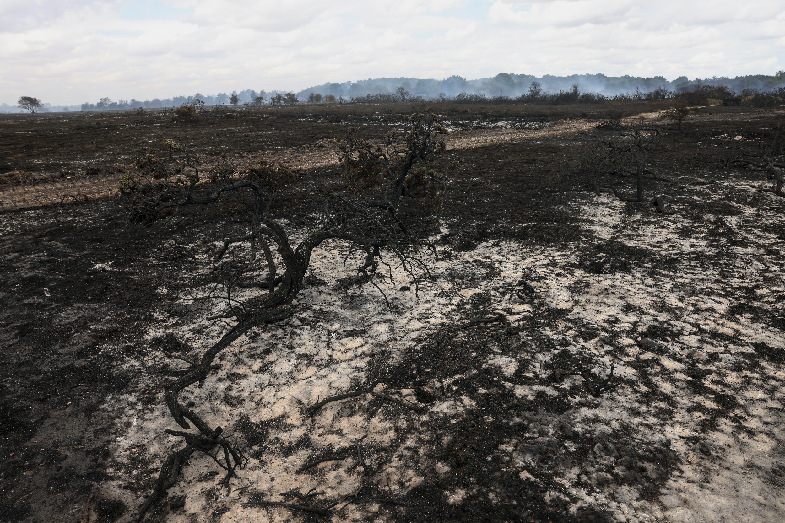 burned out heathland