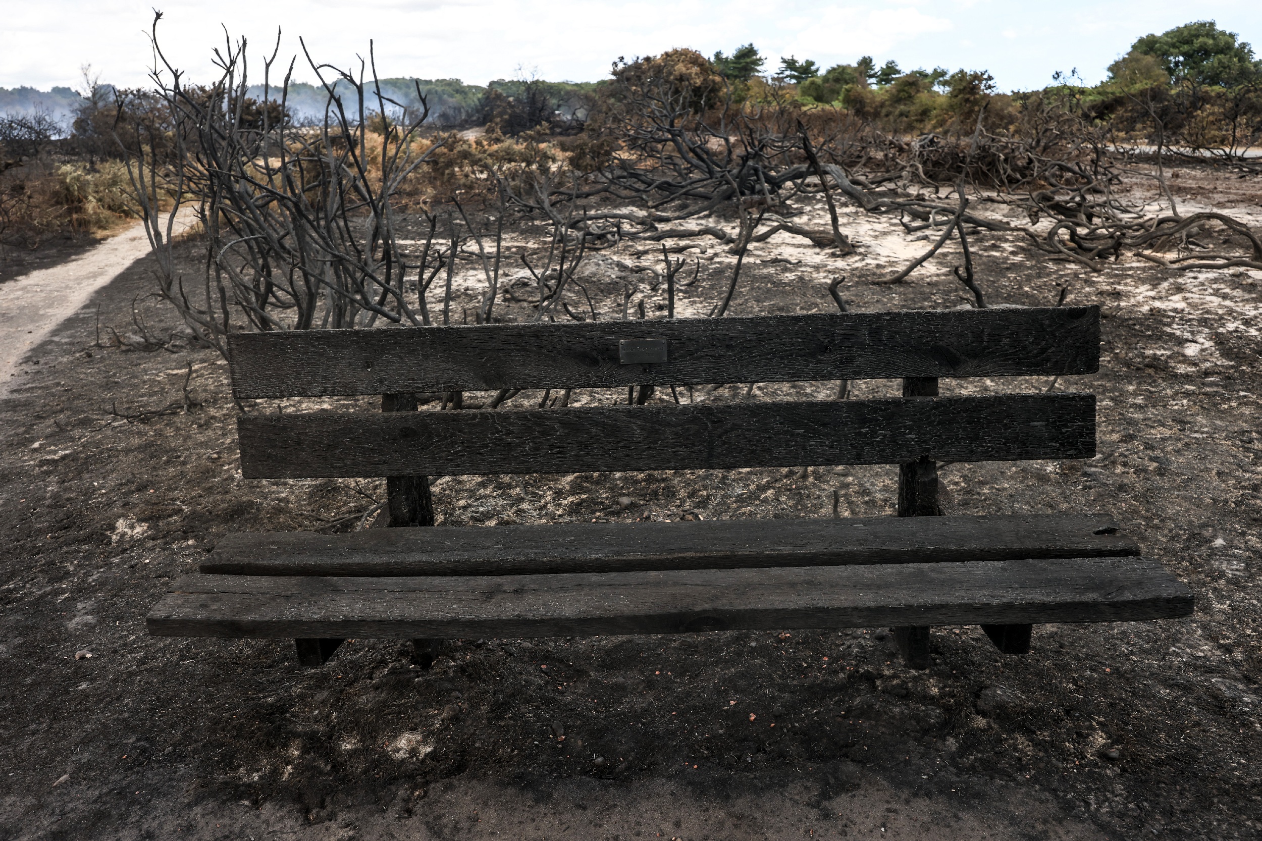 a burnt bench