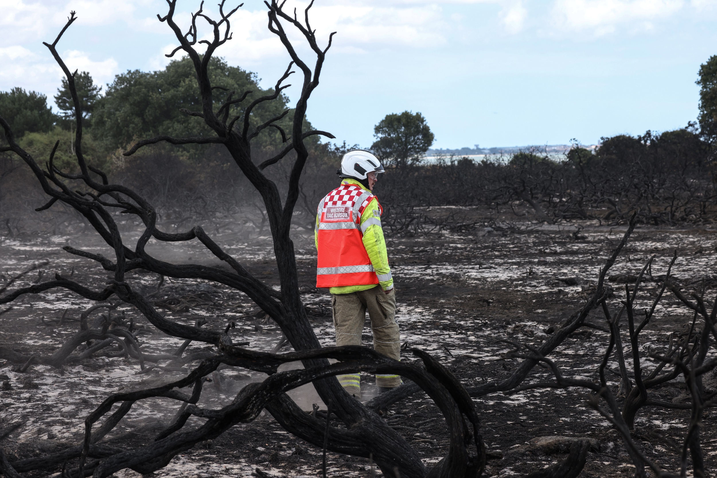 emergency service worker in burned out field