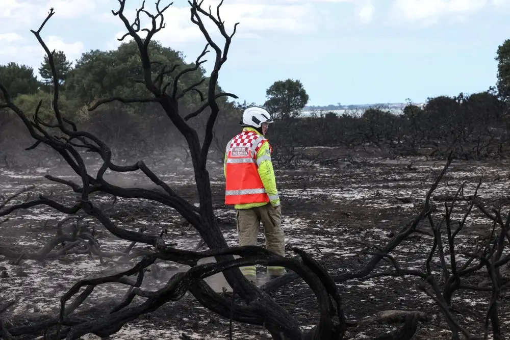 emergency service worker in burned out field