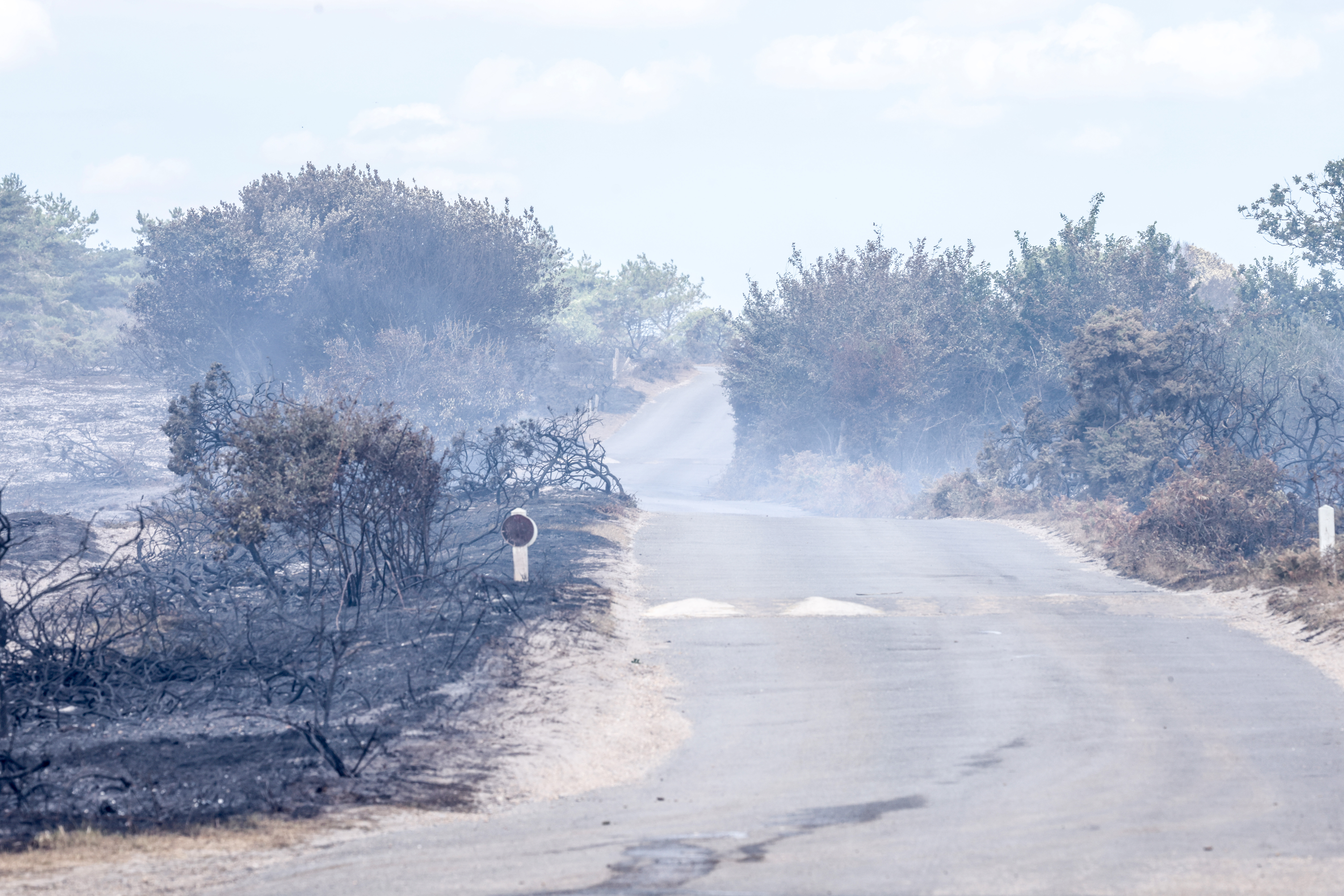 Fire damaged road leading through Dunwich Heath