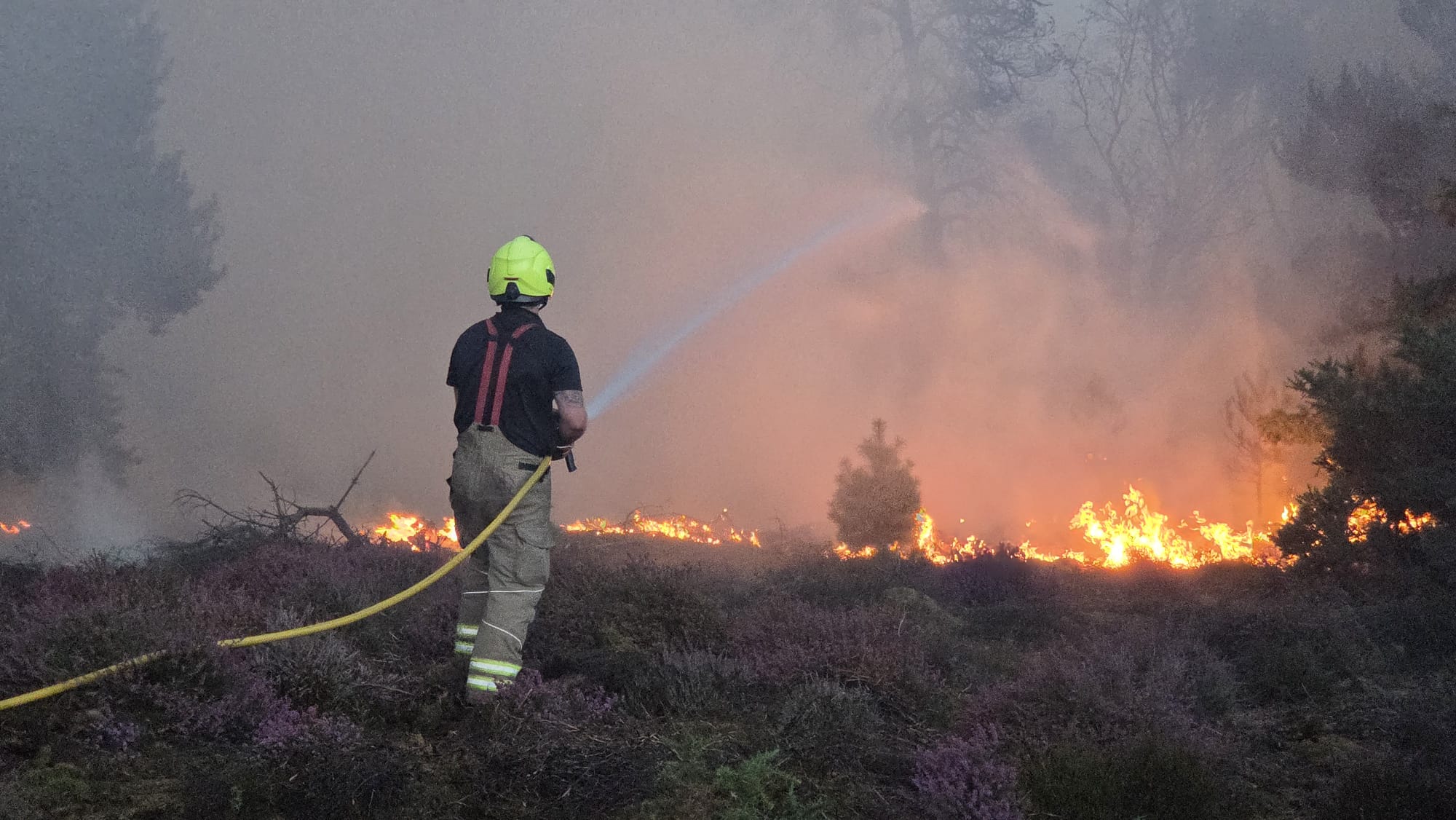 A firefighter tackling a wildfire on Dunwich Heath in Suffolk