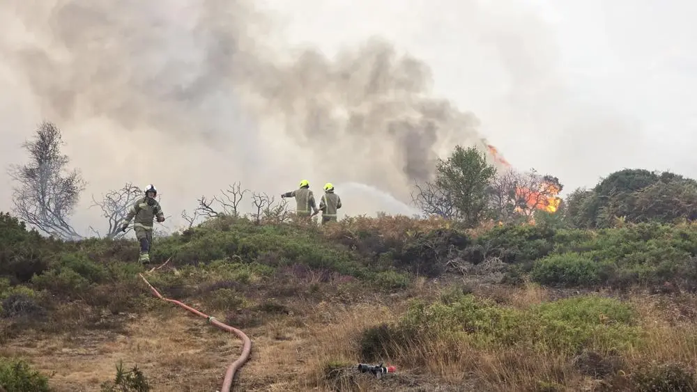 Firefighters tackling a wildfire on Dunwich Heath in Suffolk.