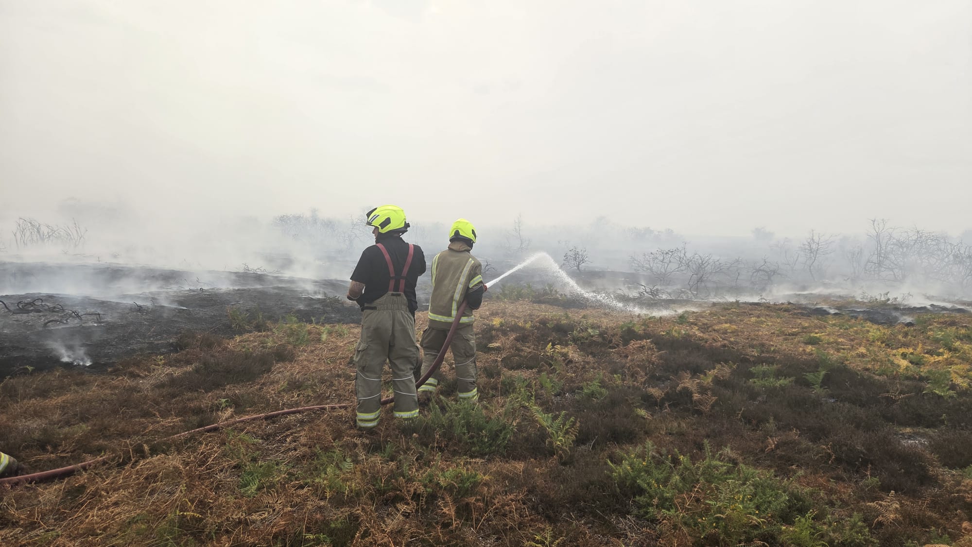 Fire crews tackling Dunwich Heath fire