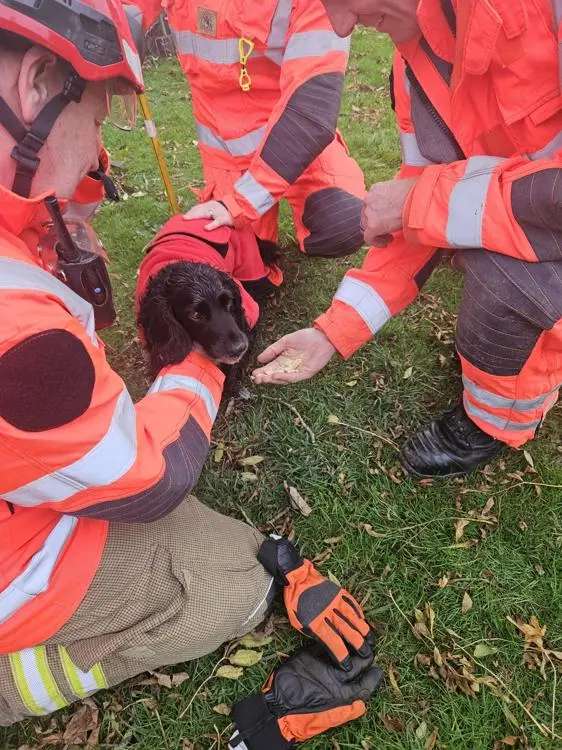 Senna, a black spaniel, with rescuers in high-viz clothing.