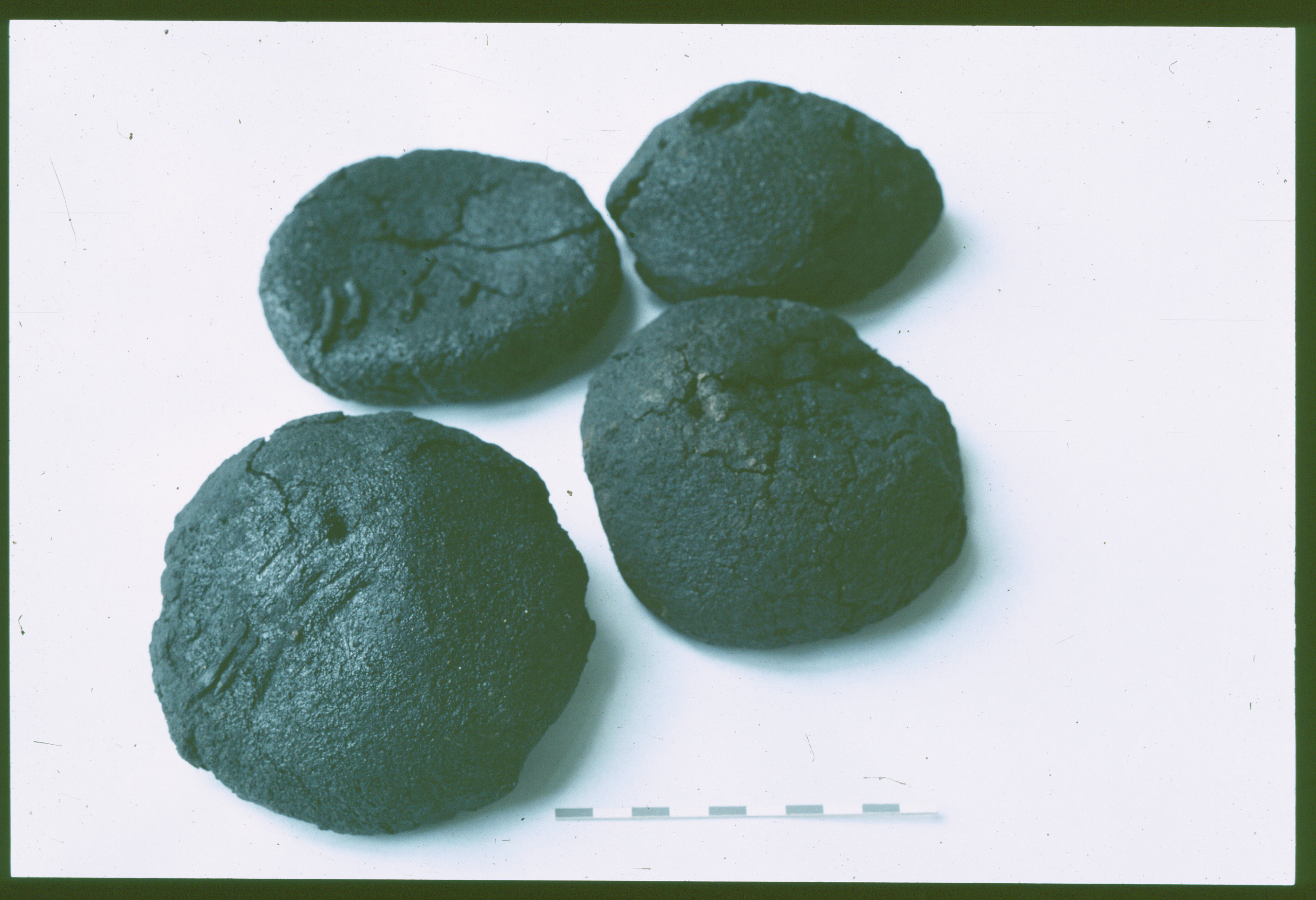 Four burnt bread rolls