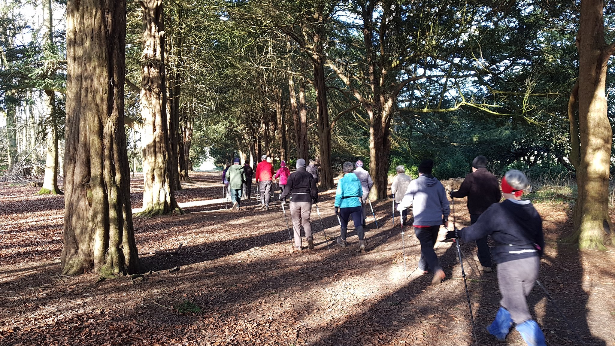 a group of people walk through the forest
