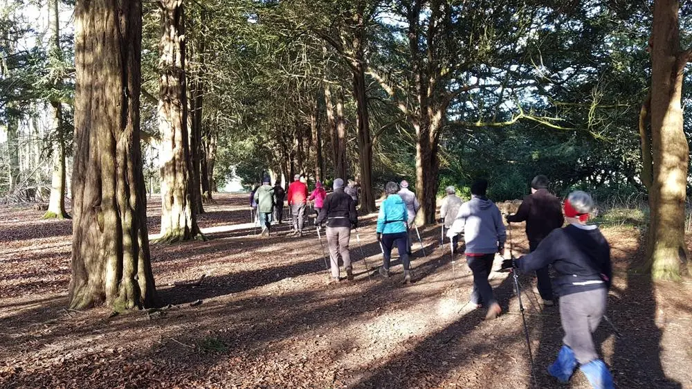 a group of people walk through the forest