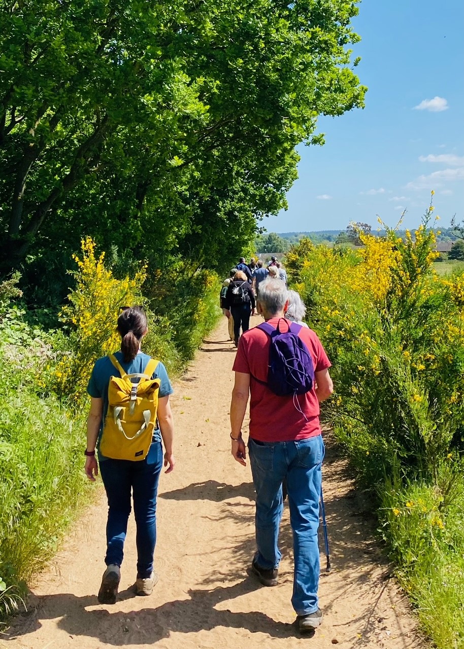 people on a walk in the Brecks