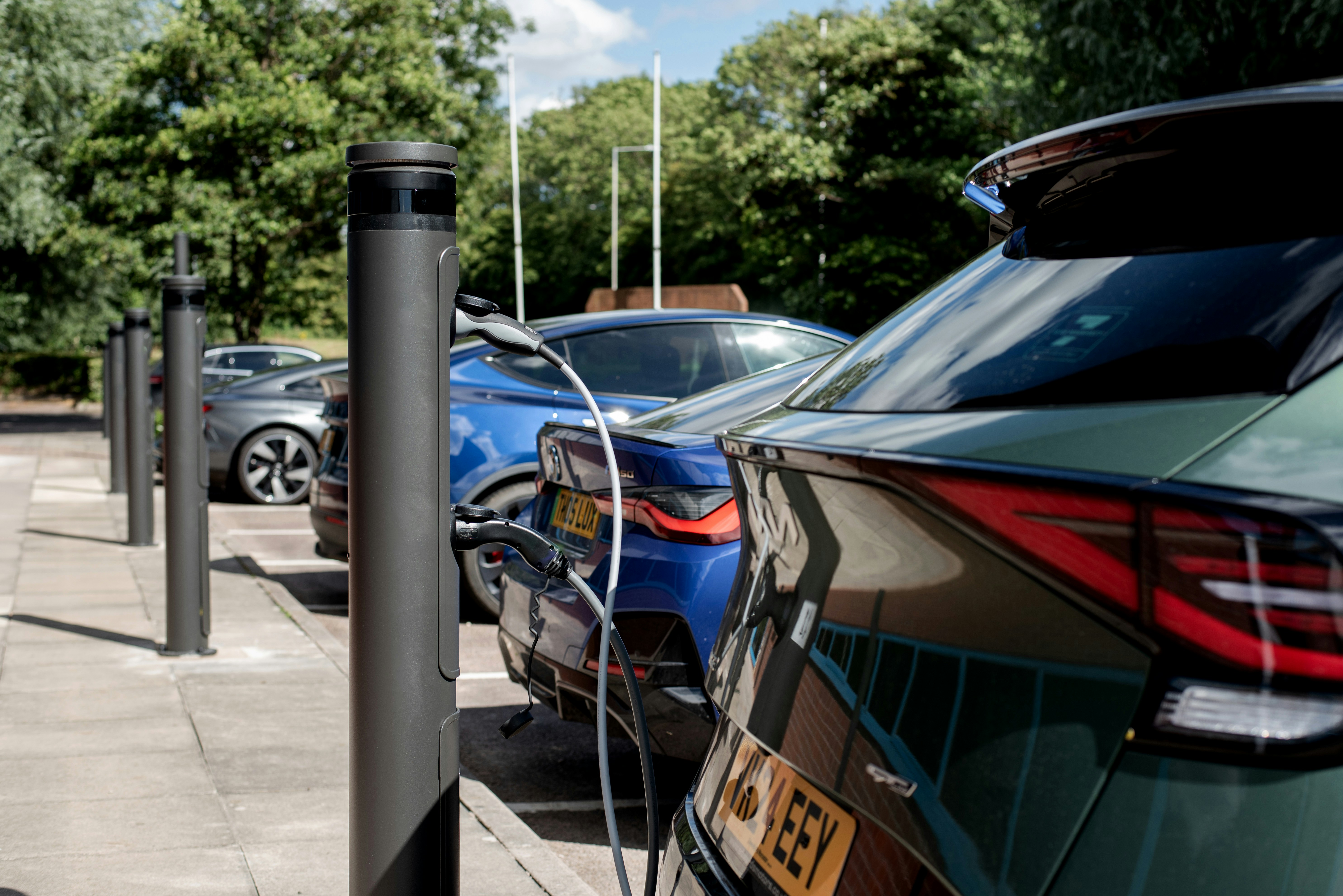 Six EVs are charging outside on a sunny day. 