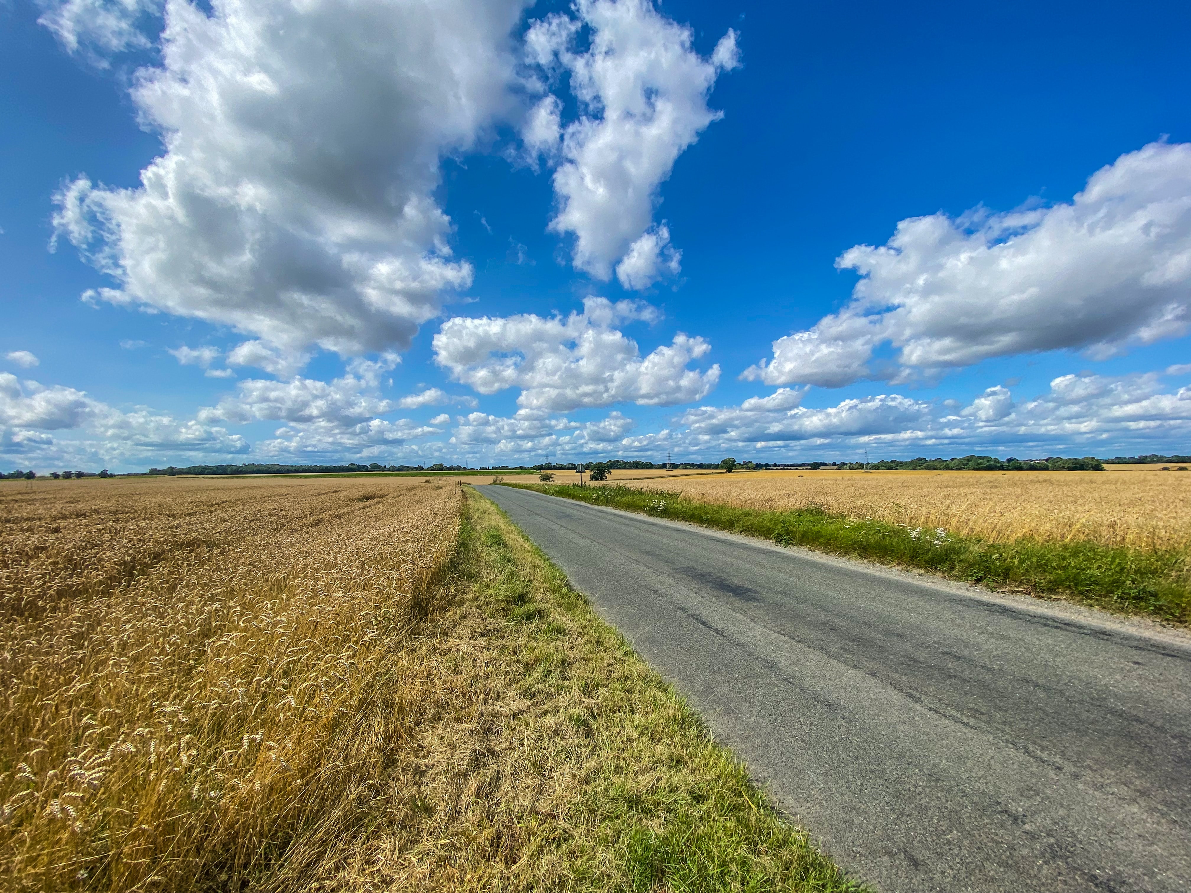 Country road in Suffolk