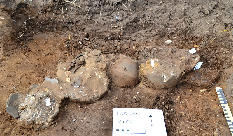 Cremation pots in a group from the excavations in 2016