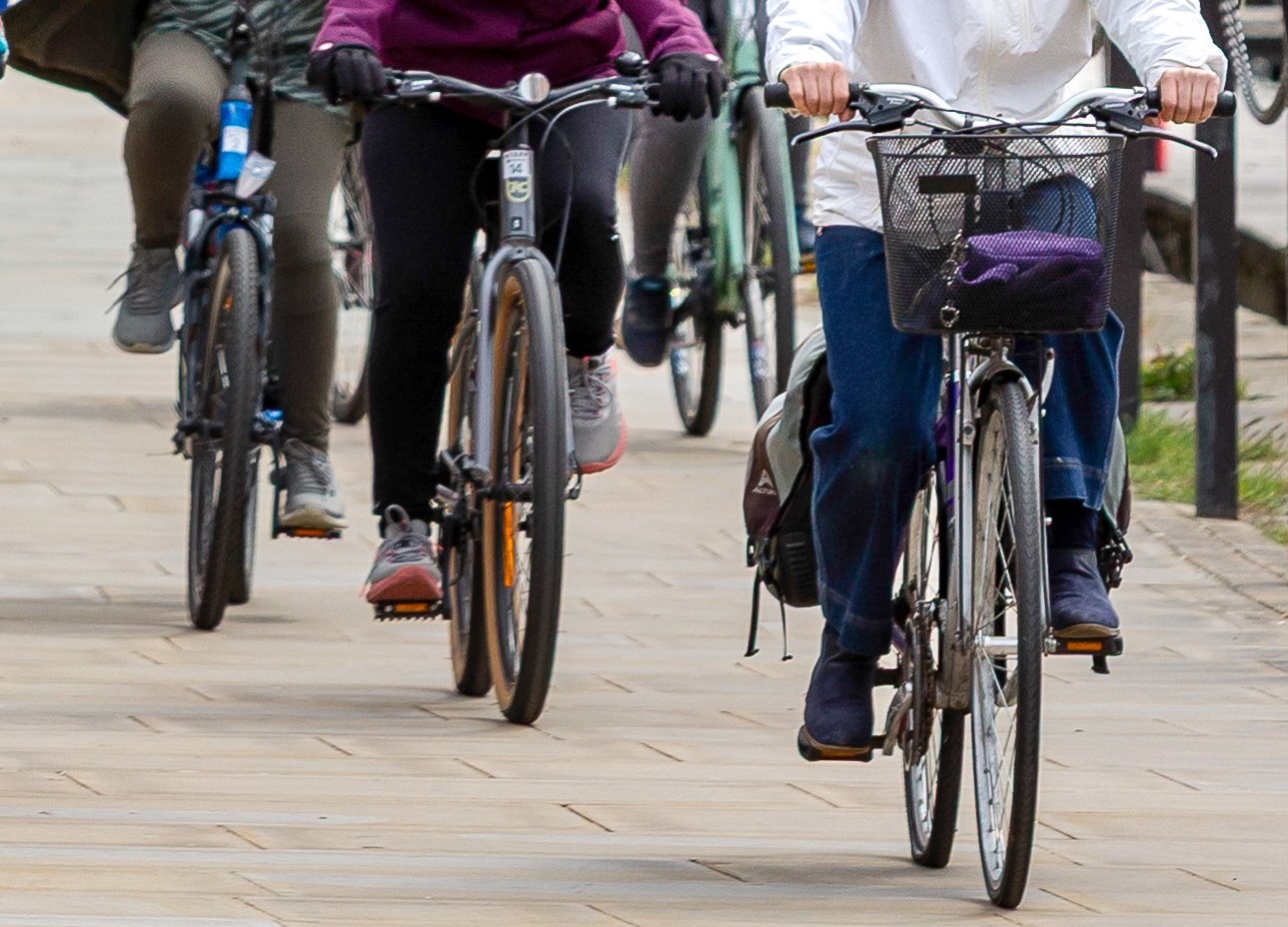 Four people on bikes, just showing cyclists legs