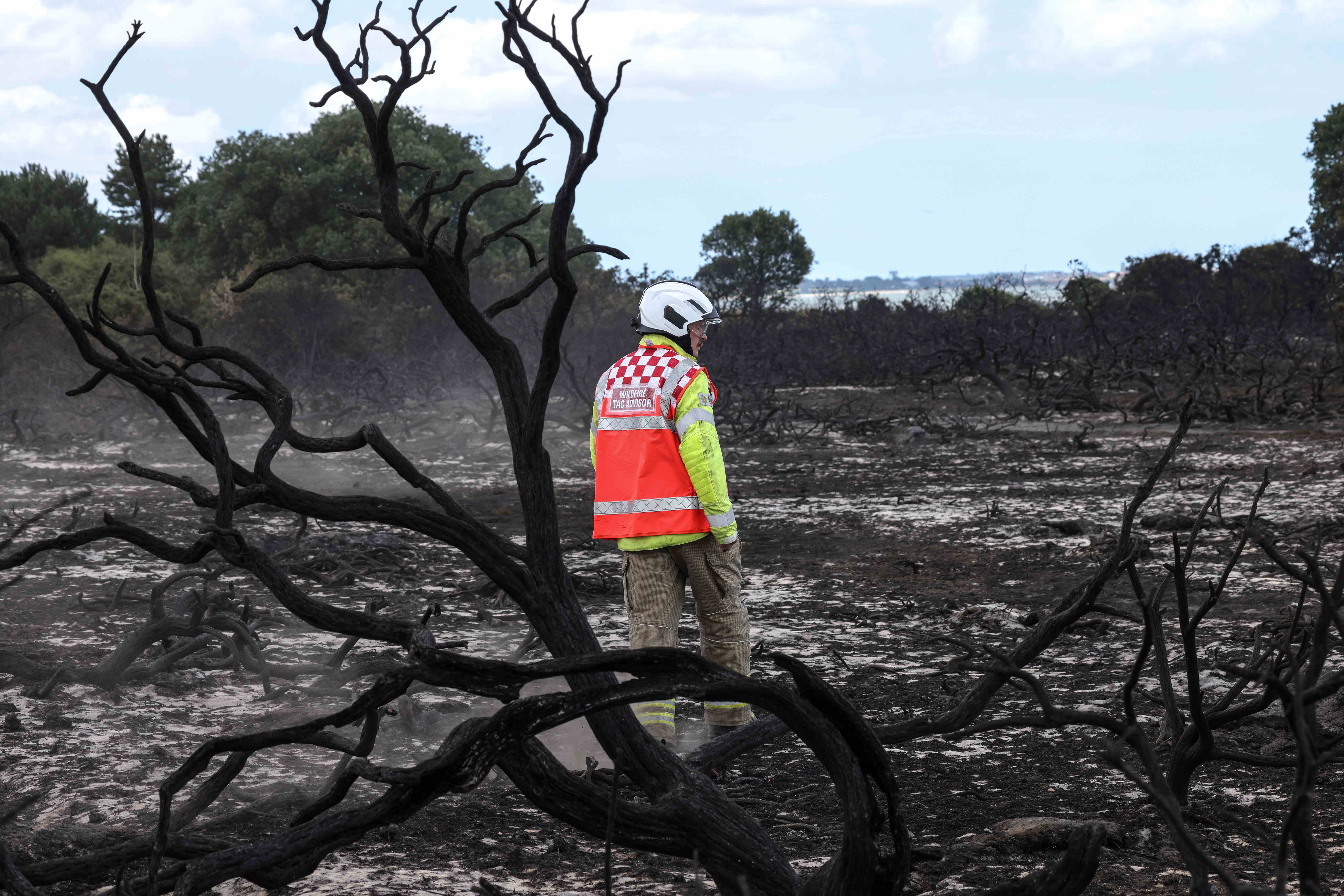 A firefighter on a blackened and scorched heath.