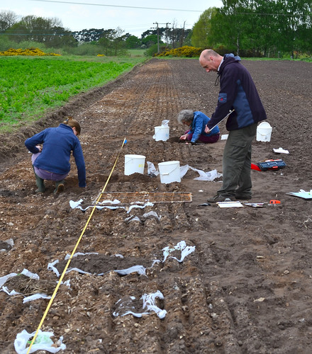 Excavations being made in 2016 by three volunteers/ team members. 