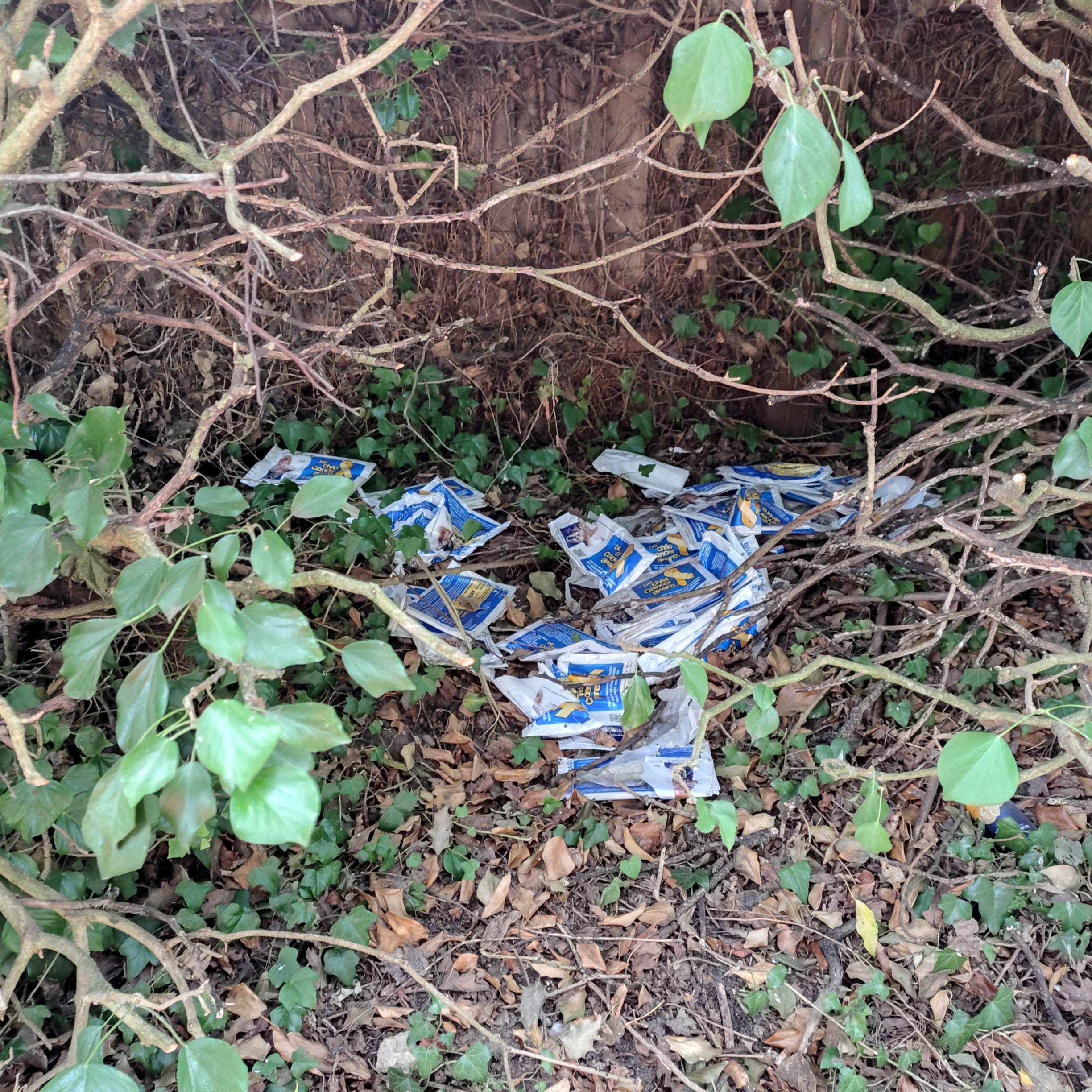 Fake charity collection bags that have been dumped in a Suffolk hedge.