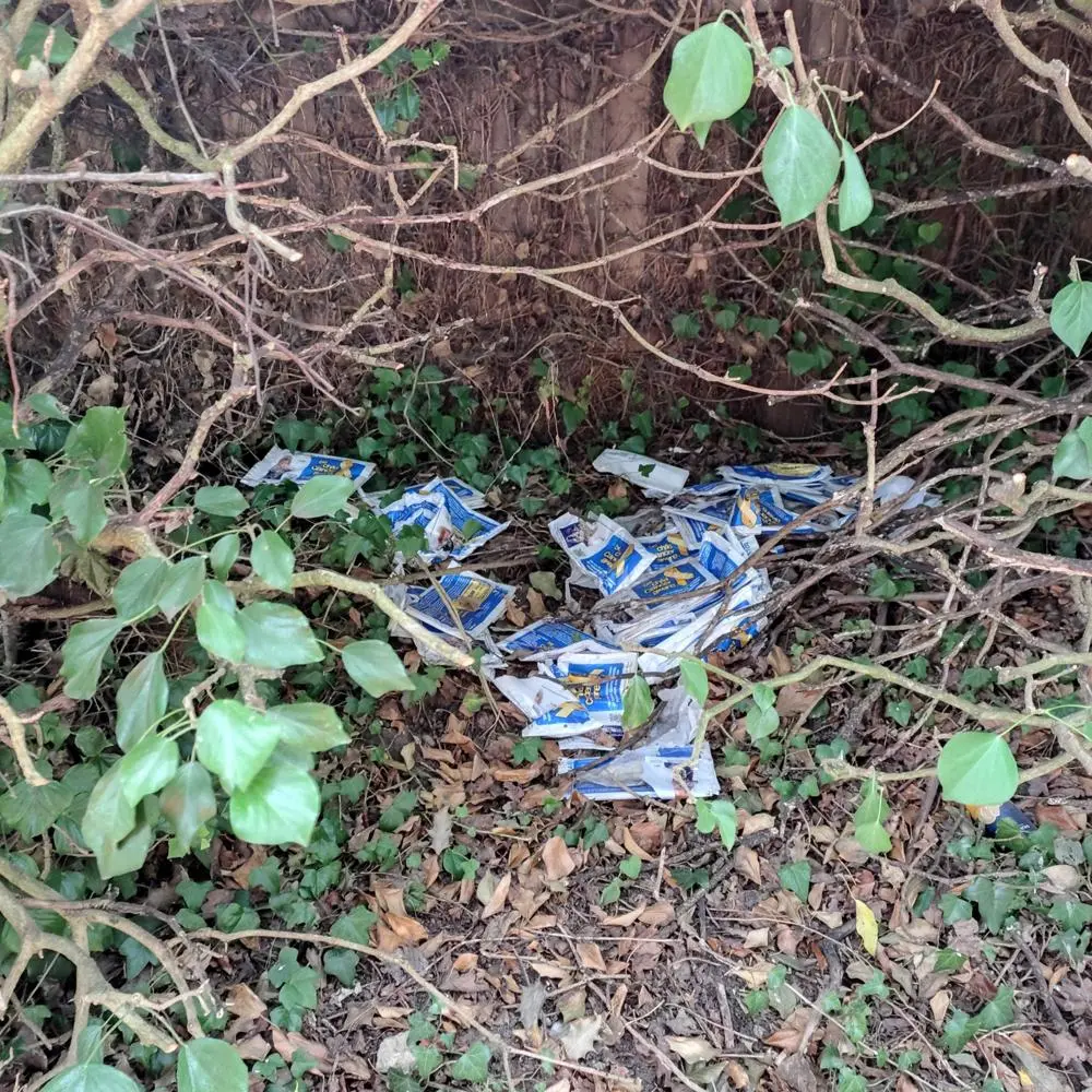 Fake charity collection bags that have been dumped in a Suffolk hedge.