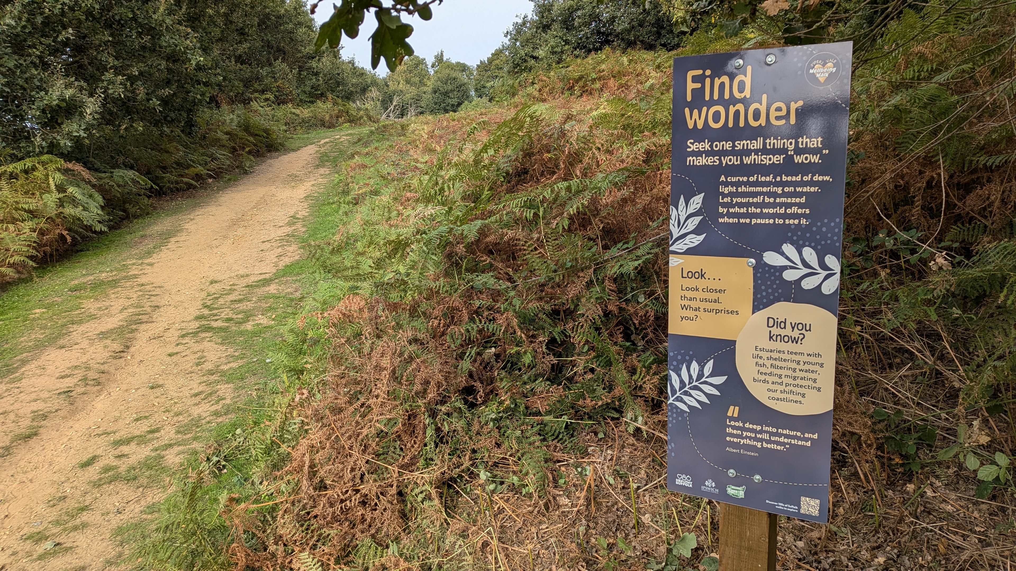 A sign in a country park that invites visitors to stop and "find wonder".