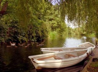 Brandon Country Park