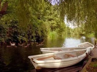 Brandon Country Park