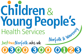 Just One Norfolk logo