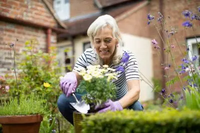 Older woman enjoying gardening