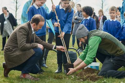 Council on course to plant 200000 trees
