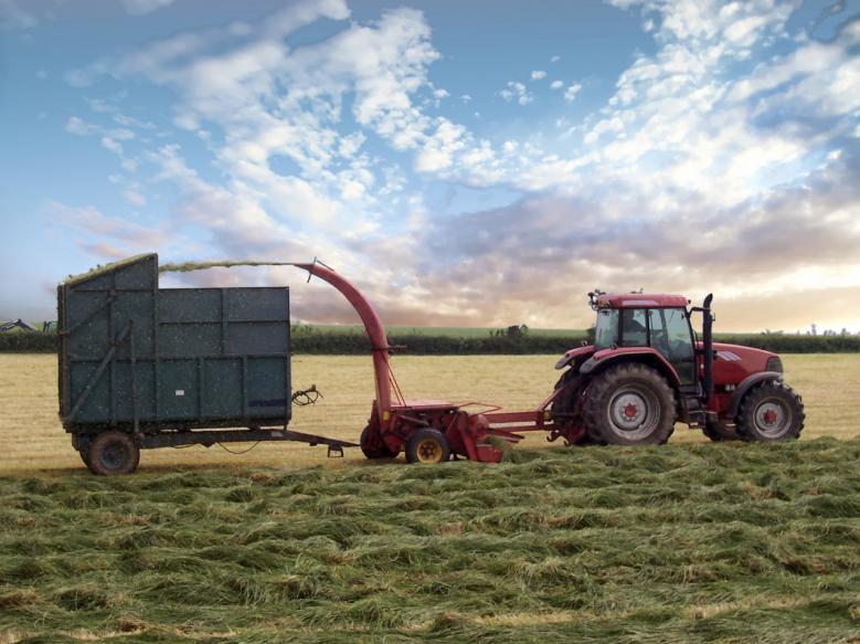 Red tractor and forage harvester in Suffolk field with blue sky and small clouds.