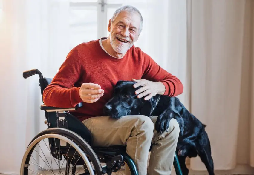 Wheelchair user at home with his dog 