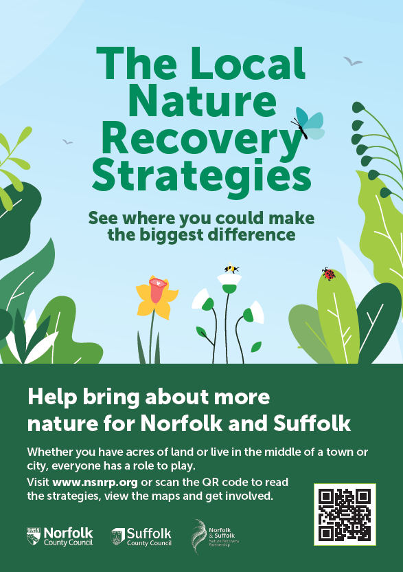 a colour leaflet explaining what the LNRS is