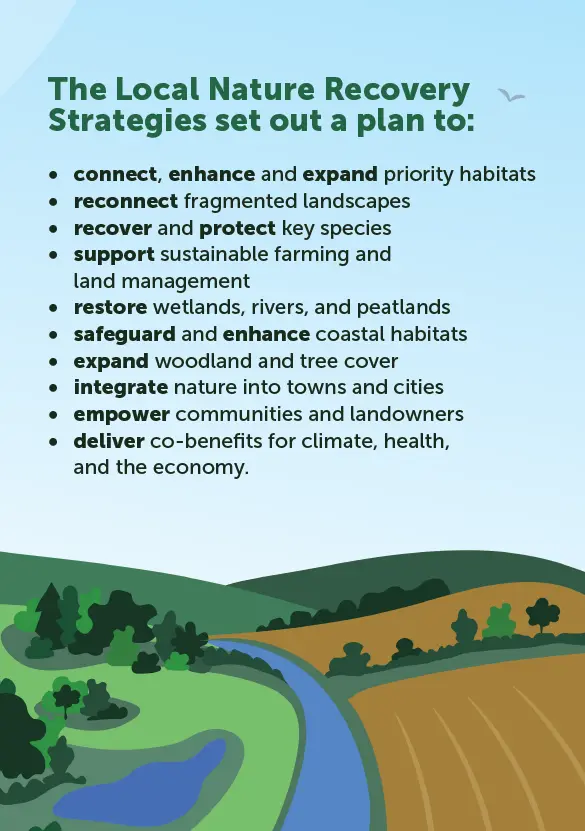 a colour leaflet explaining what the LNRS is