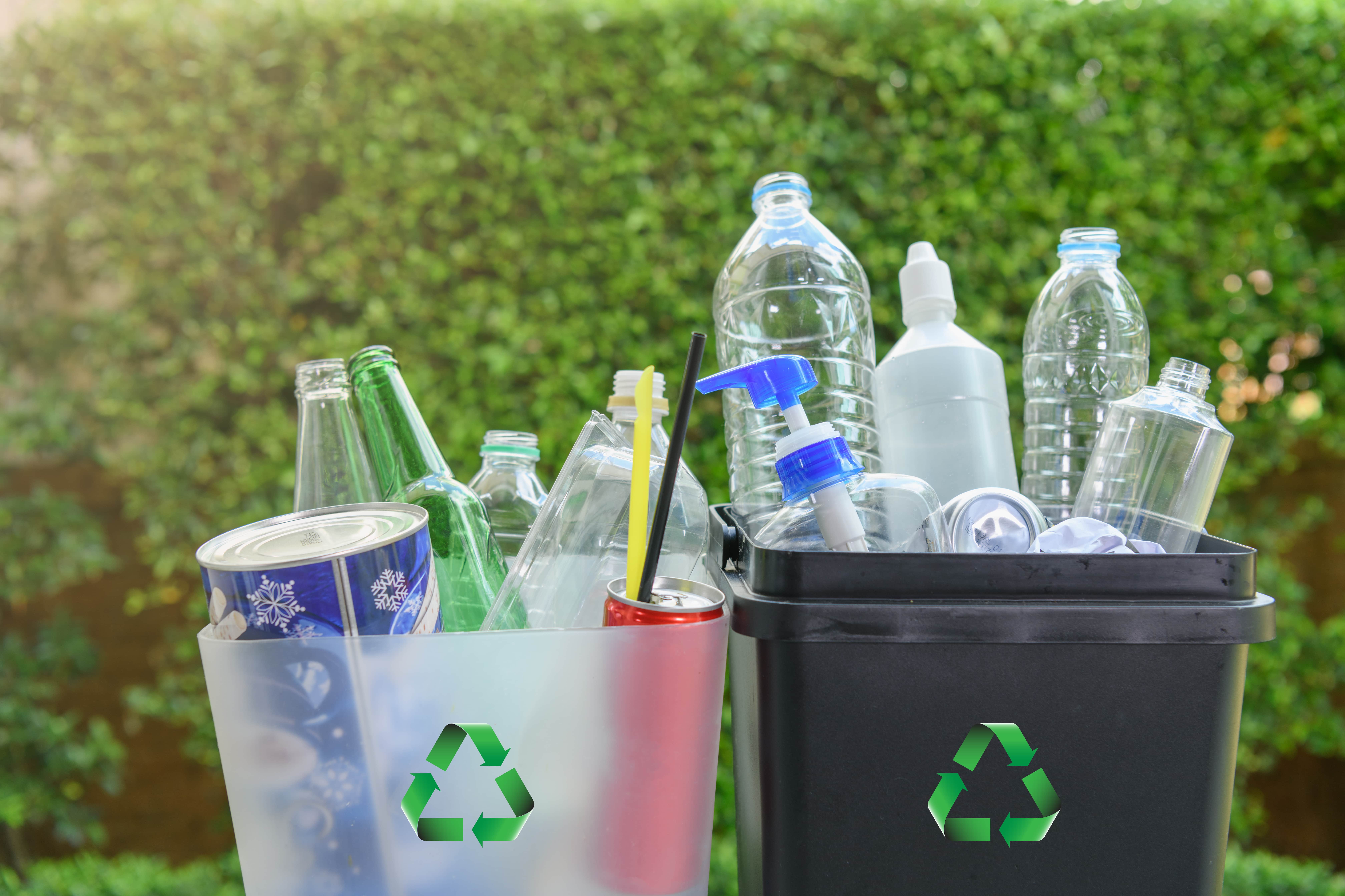 Plastic bottles in a recylcing bin