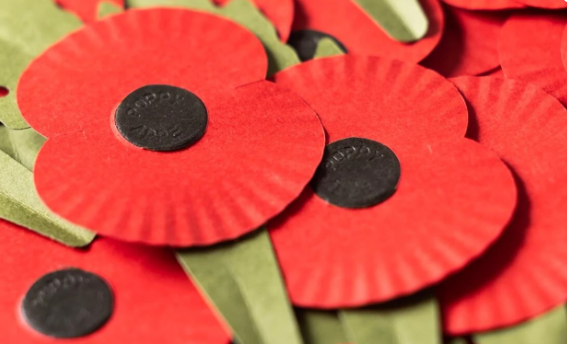 A collection of poppies