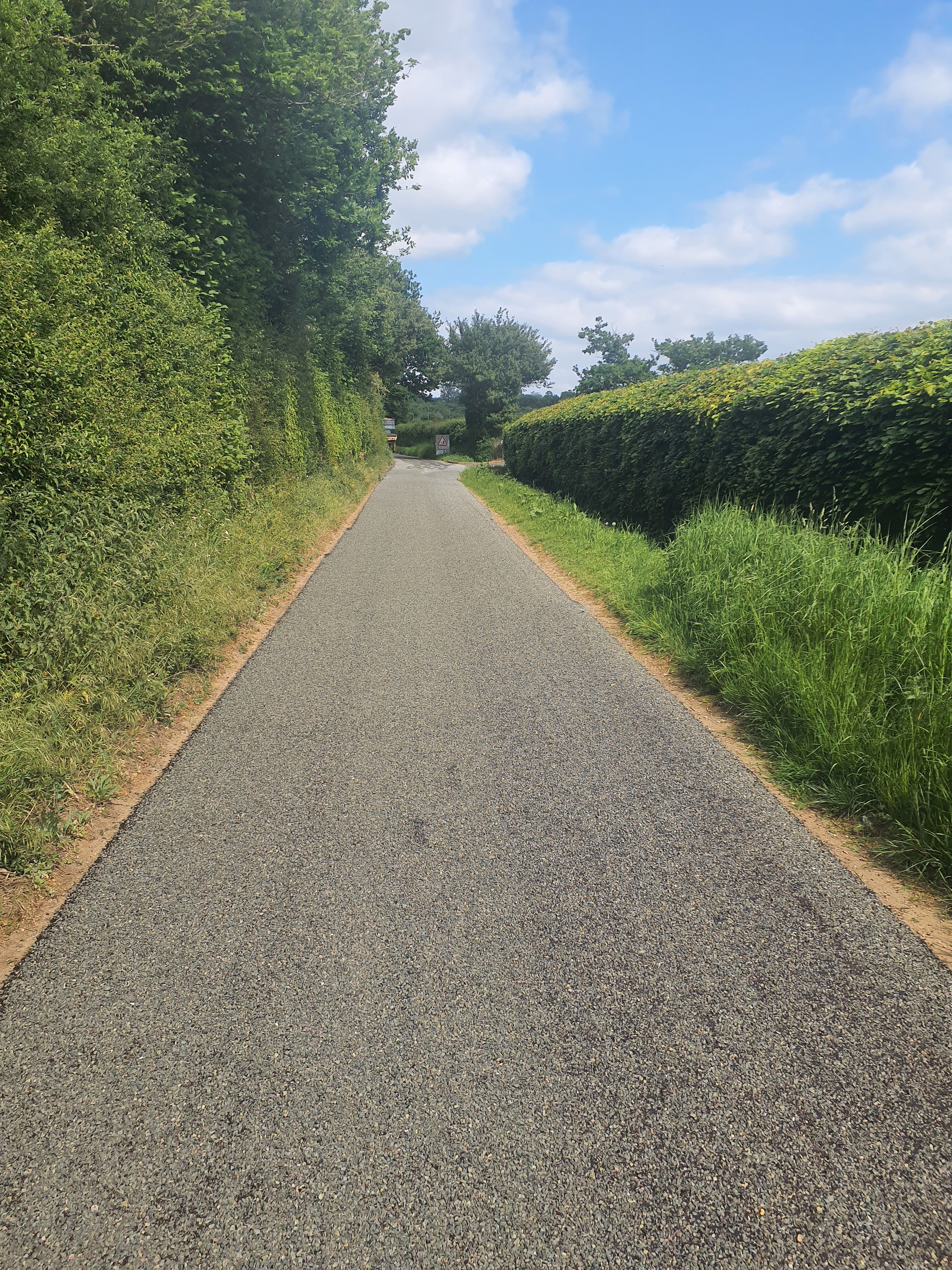 A newly surface dressed road with hedges either side.