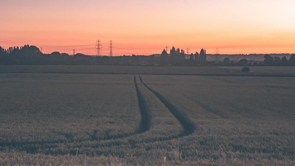 a field at sunset with pylons on the horizon