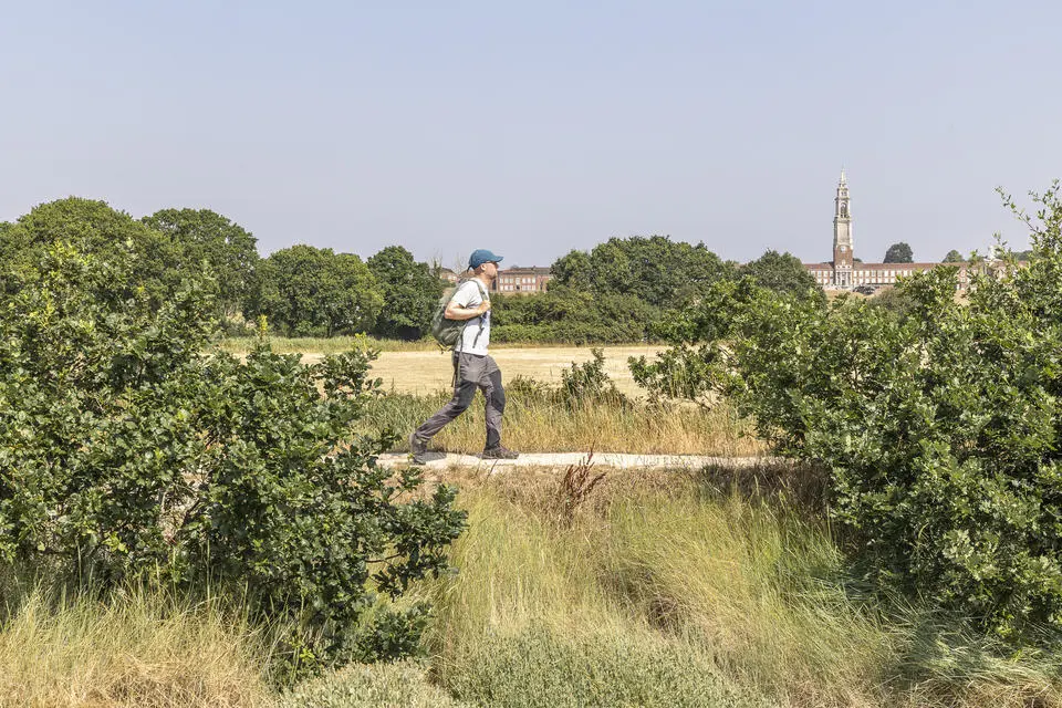 a walker on a footpath surrounded by green trees and grasses with the Royal Hospital School in the background