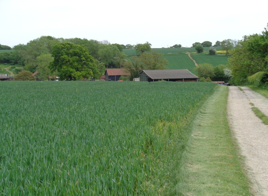 green farmland with some outbuildings in the distance