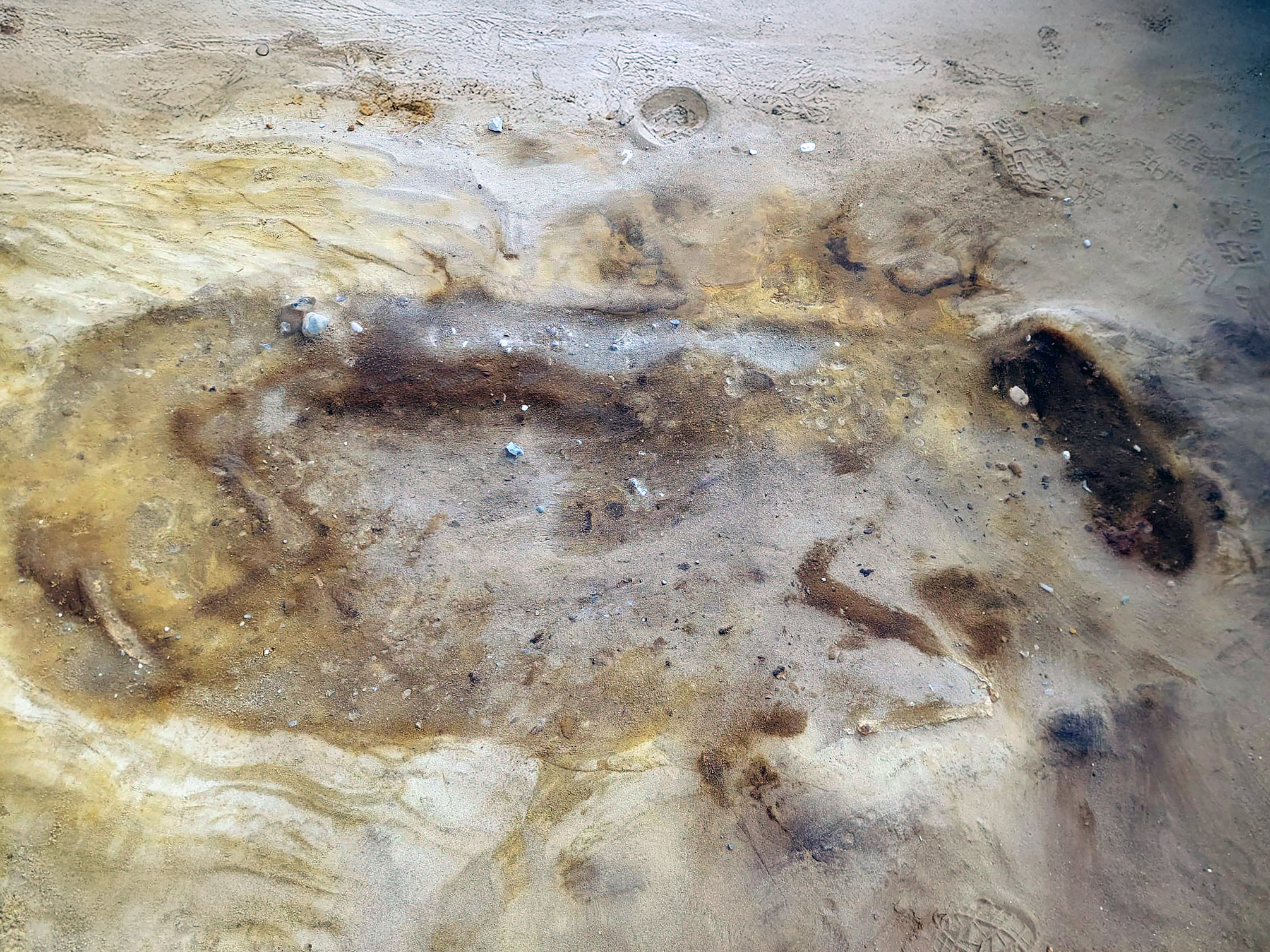 the outline of a horse in a burial in sandy conditions