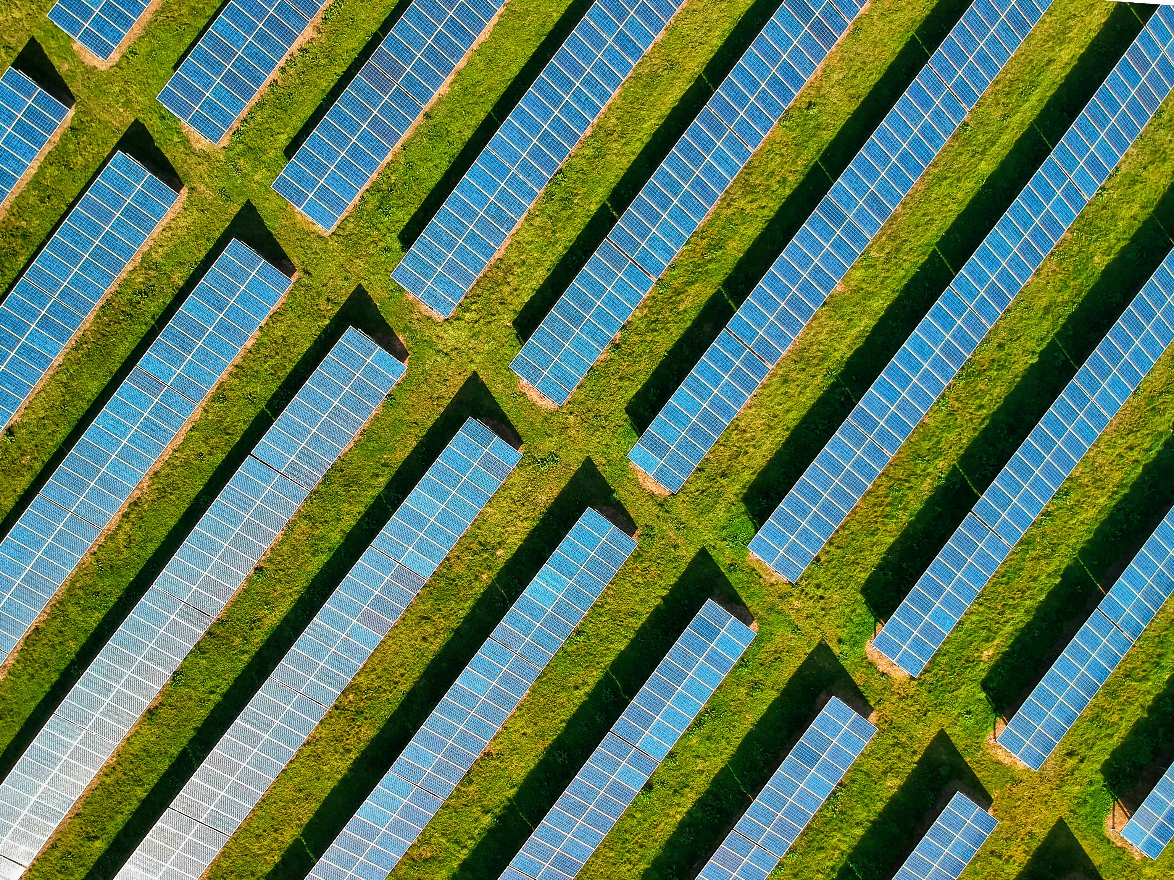 aerial view of a section of a solar farm