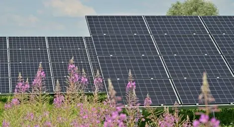Solar panel array in a field