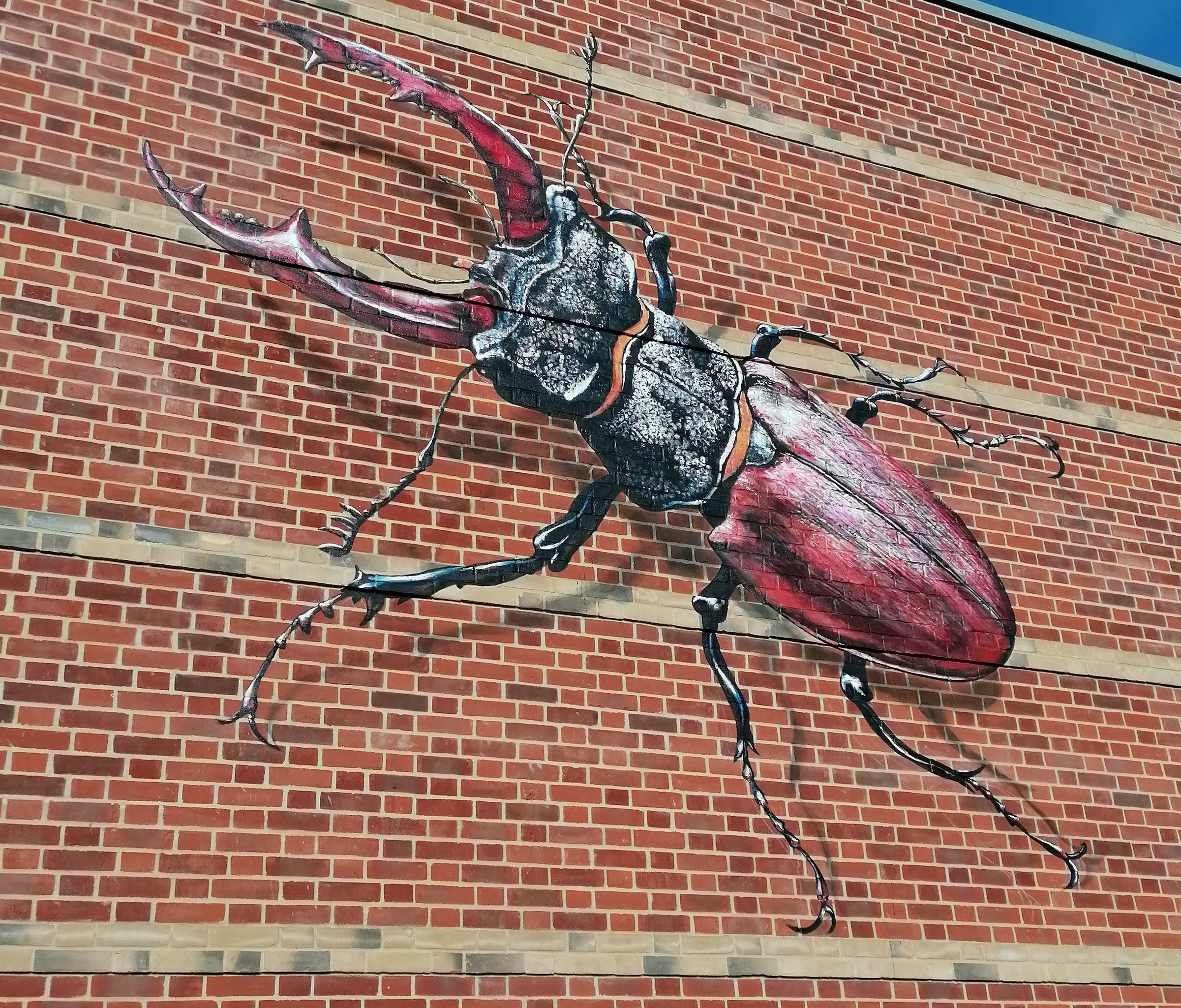 Photograph of a mural, depicting a stag beetle, at The Hold in Ipswich