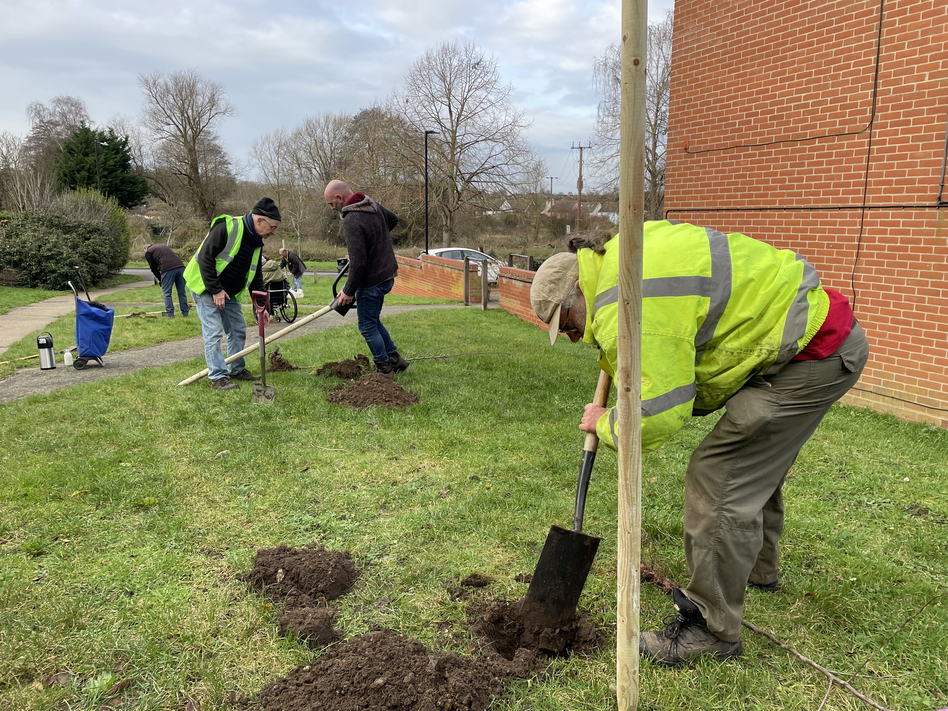 Members of the community plant trees (credit: Babergh and Mid Suffolk District Councils)