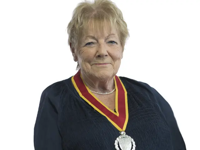 Portrait of Councillor Liz Harsant Vice-Chairman of the Council 