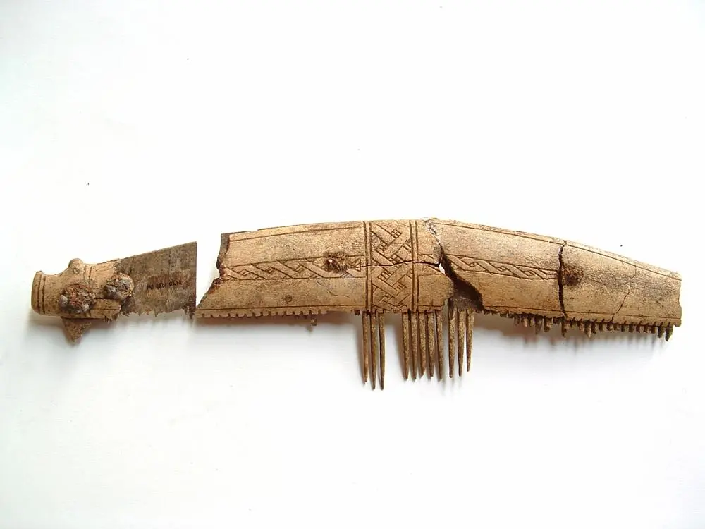 A Viking comb