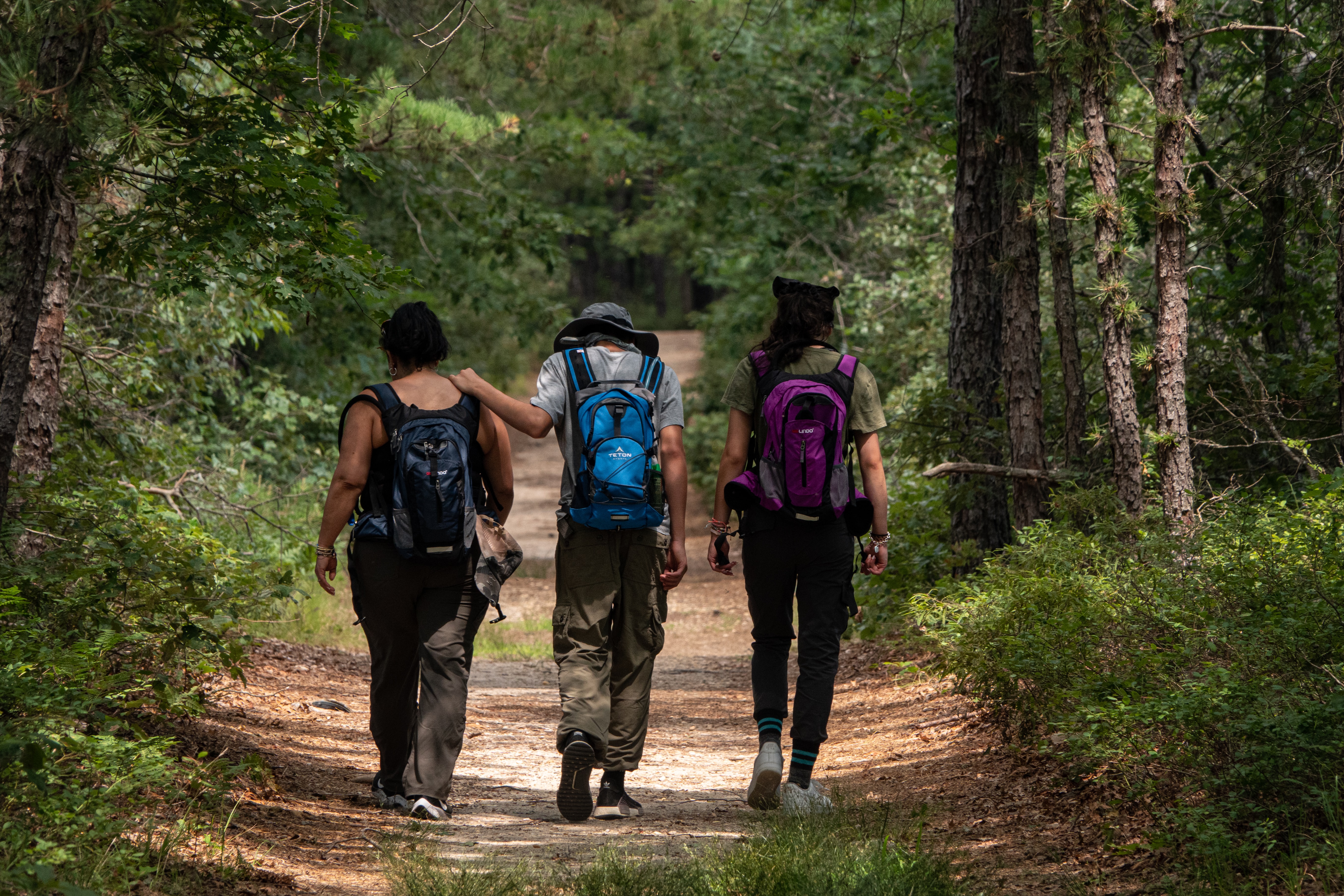 Three people walking in a forest