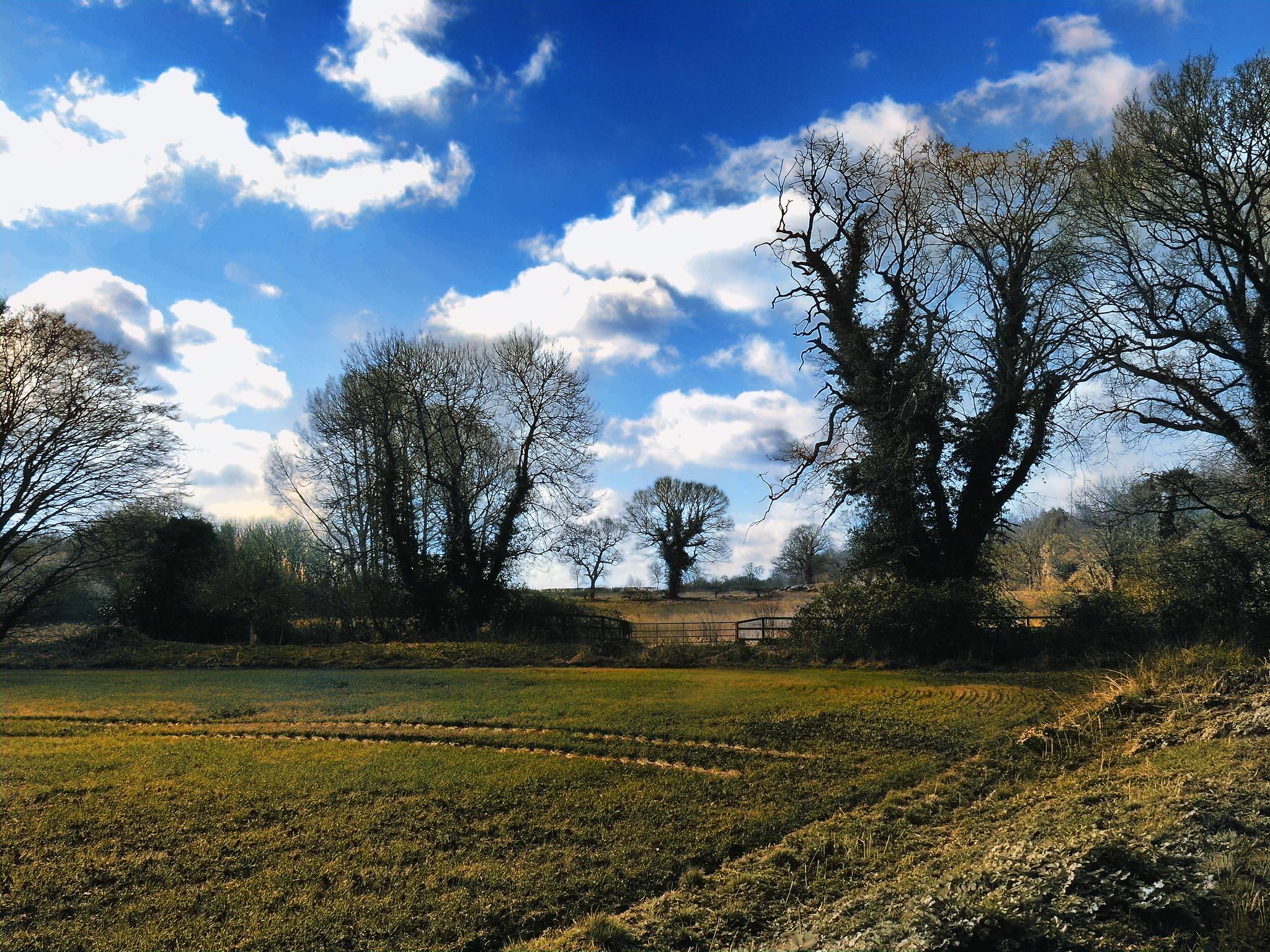 Waveney Valley landscape